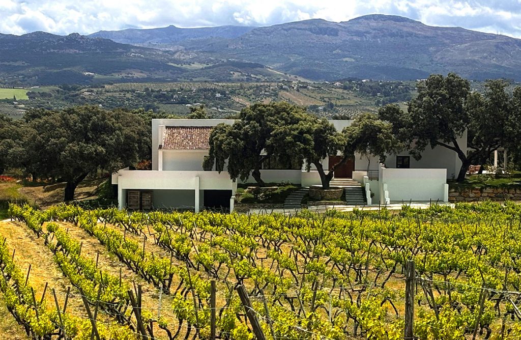 Architektur & Wein Andalusien