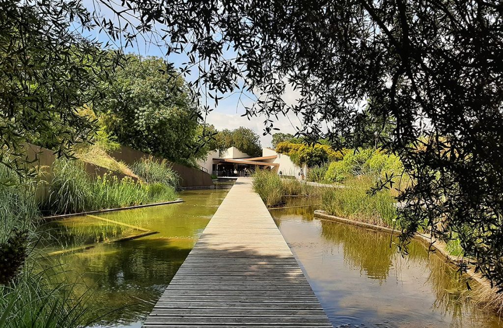 Botanischer Garten